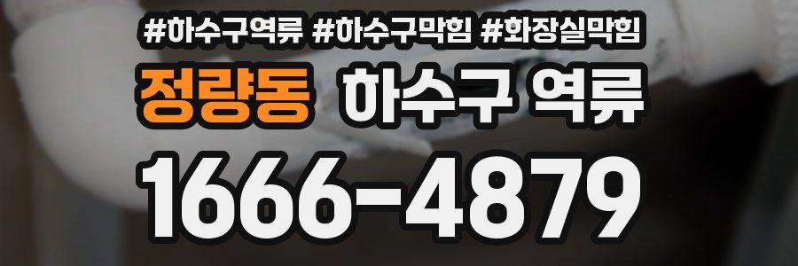 정량동 하수구 역류