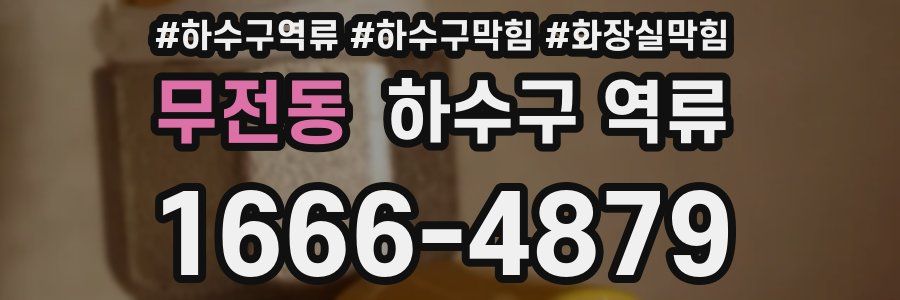 무전동 하수구 역류