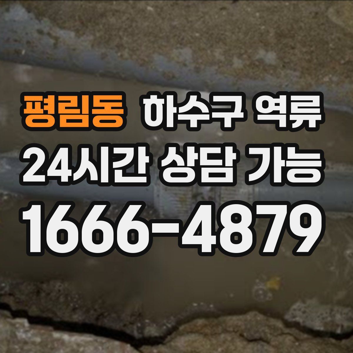 평림동 하수구 역류