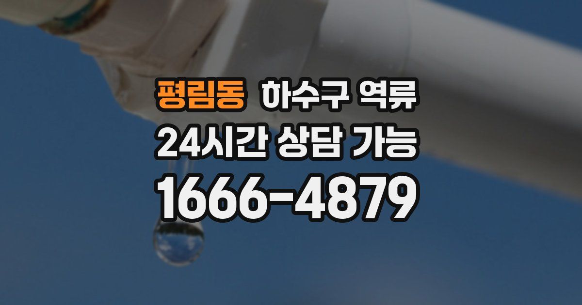 평림동 하수구 역류