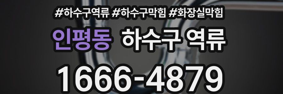 인평동 하수구 역류