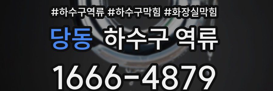 당동 하수구 역류