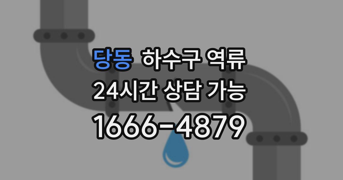 당동 하수구 역류