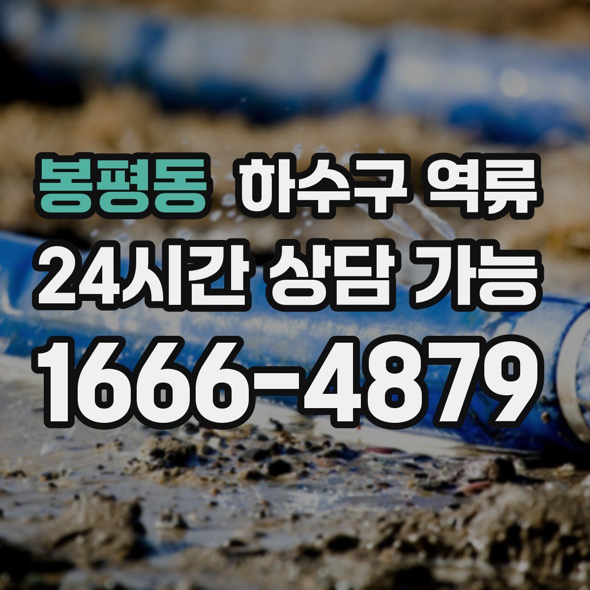 봉평동 하수구 역류