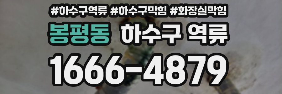 봉평동 하수구 역류