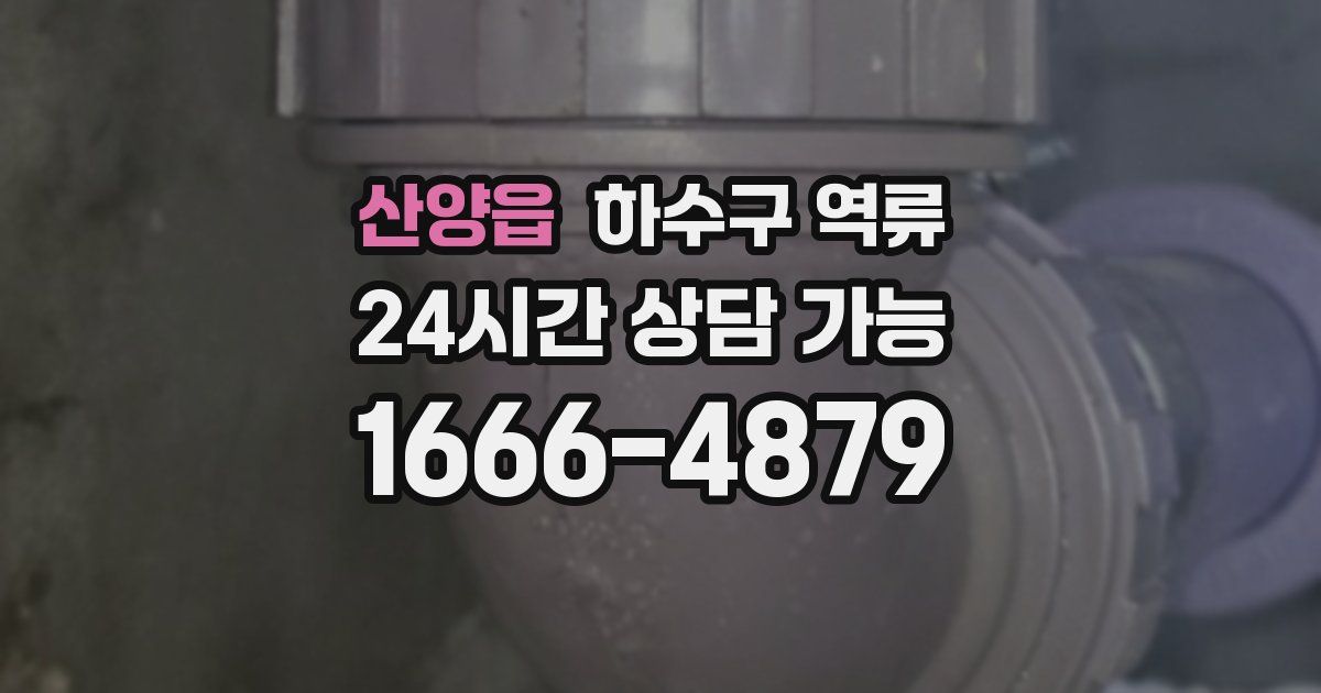 산양읍 하수구 역류