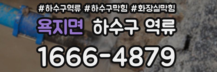 욕지면 하수구 역류