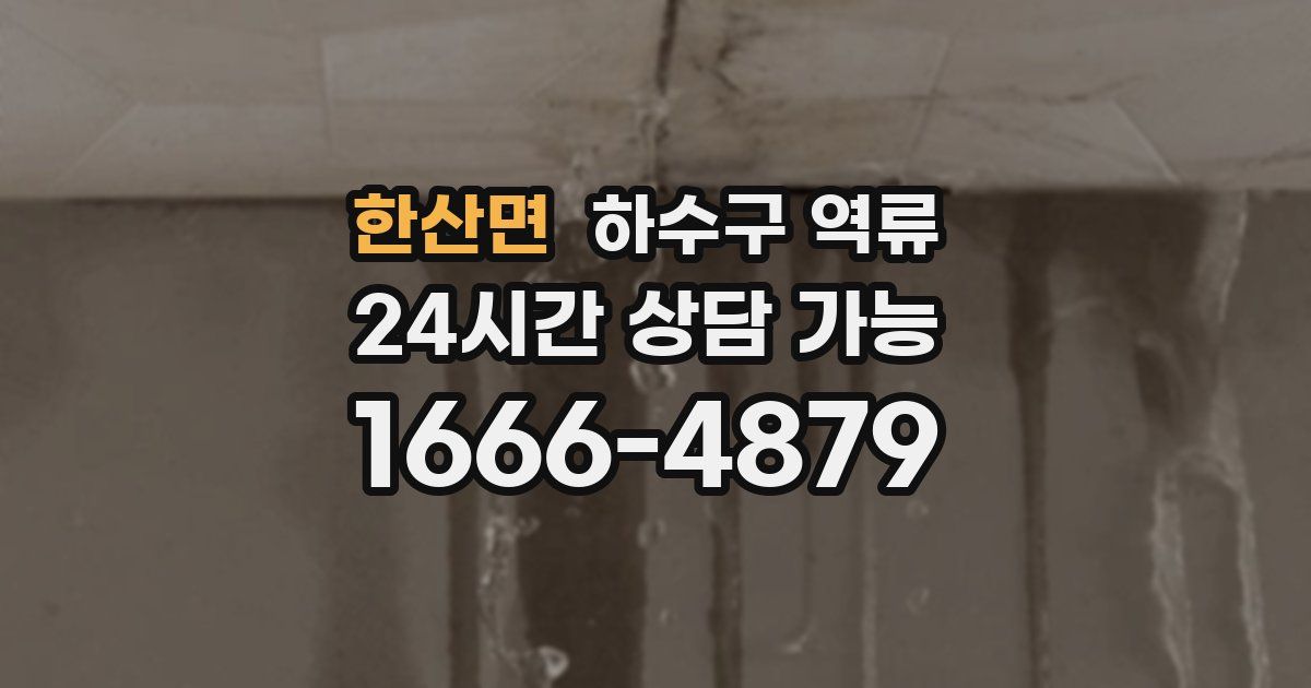 한산면 하수구 역류