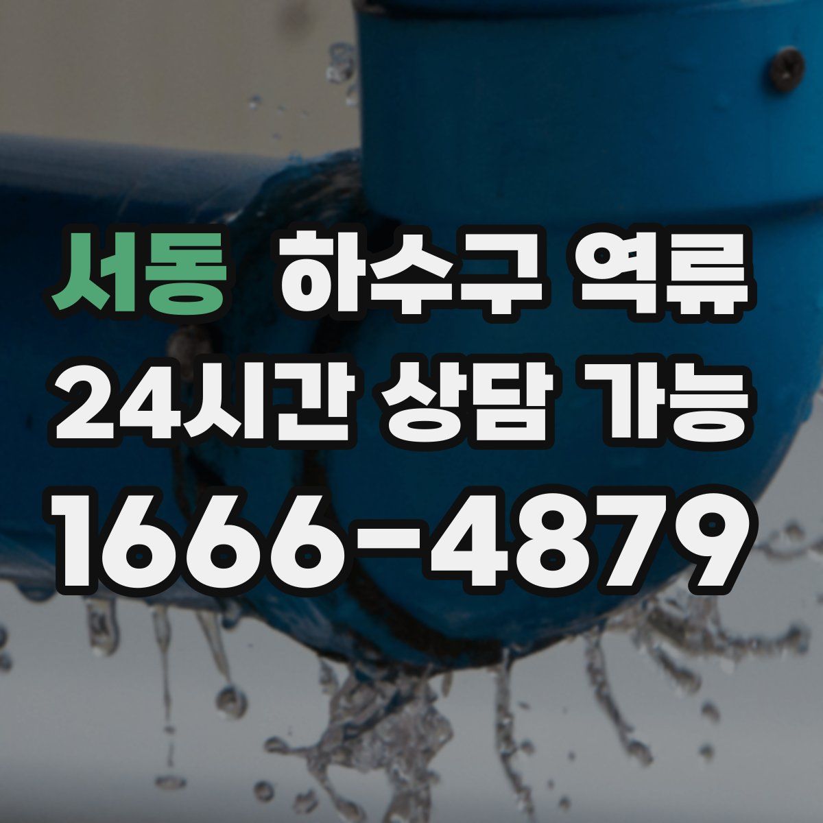 서동 하수구 역류