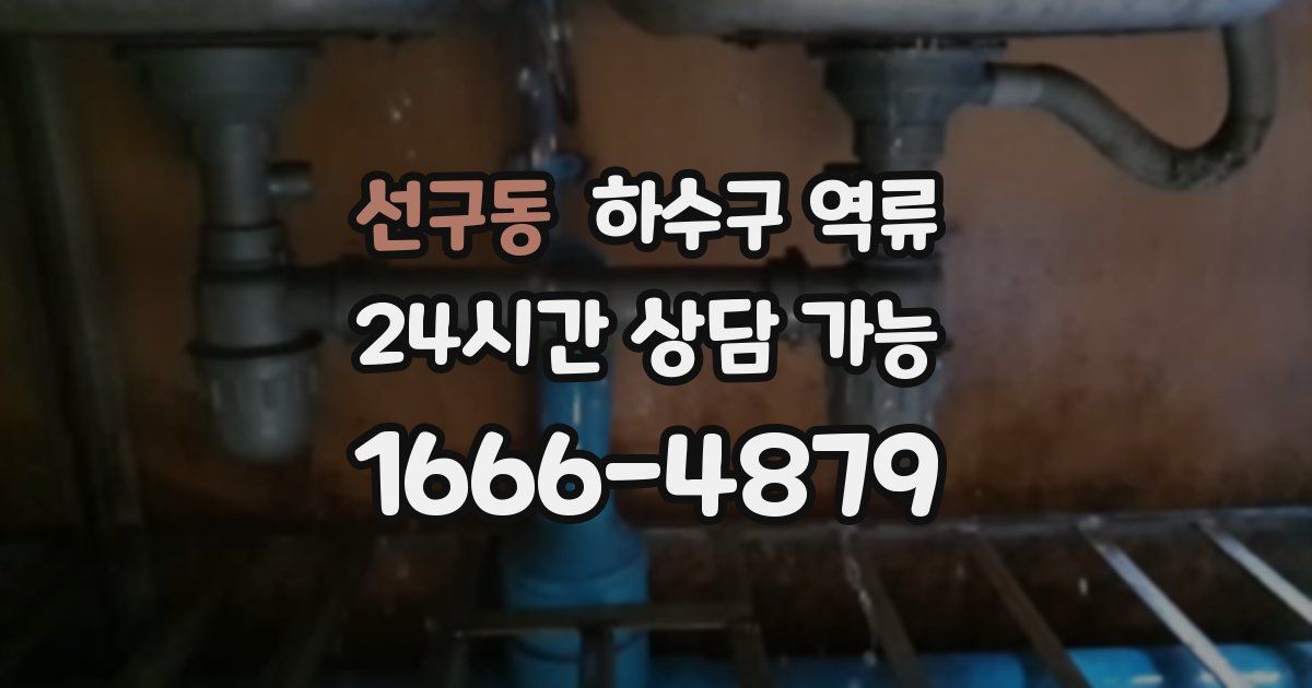 선구동 하수구 역류