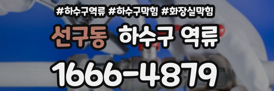 선구동 하수구 역류