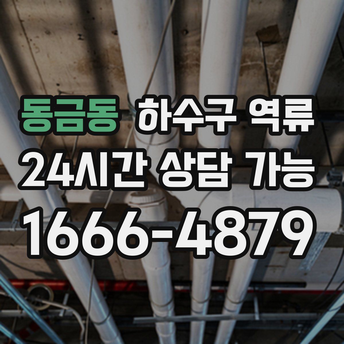 동금동 하수구 역류