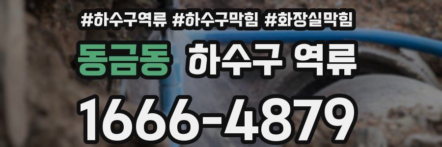 동금동 하수구 역류