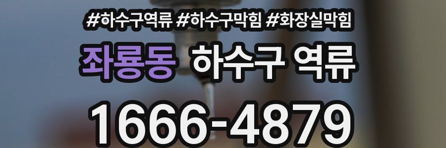 좌룡동 하수구 역류