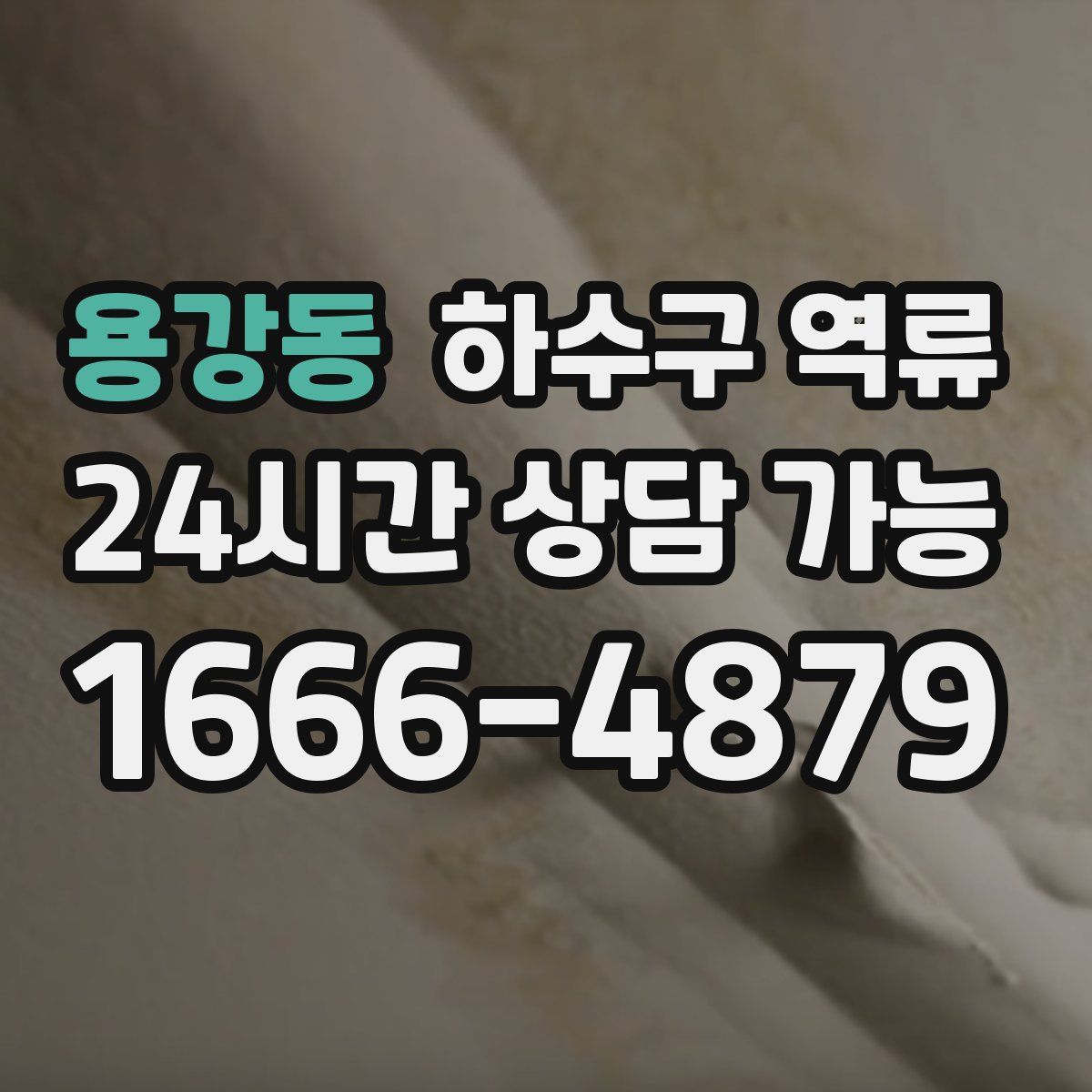 용강동 하수구 역류