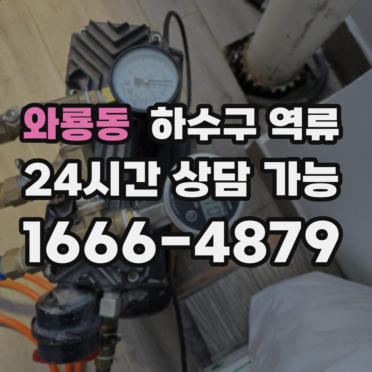 와룡동 하수구 역류