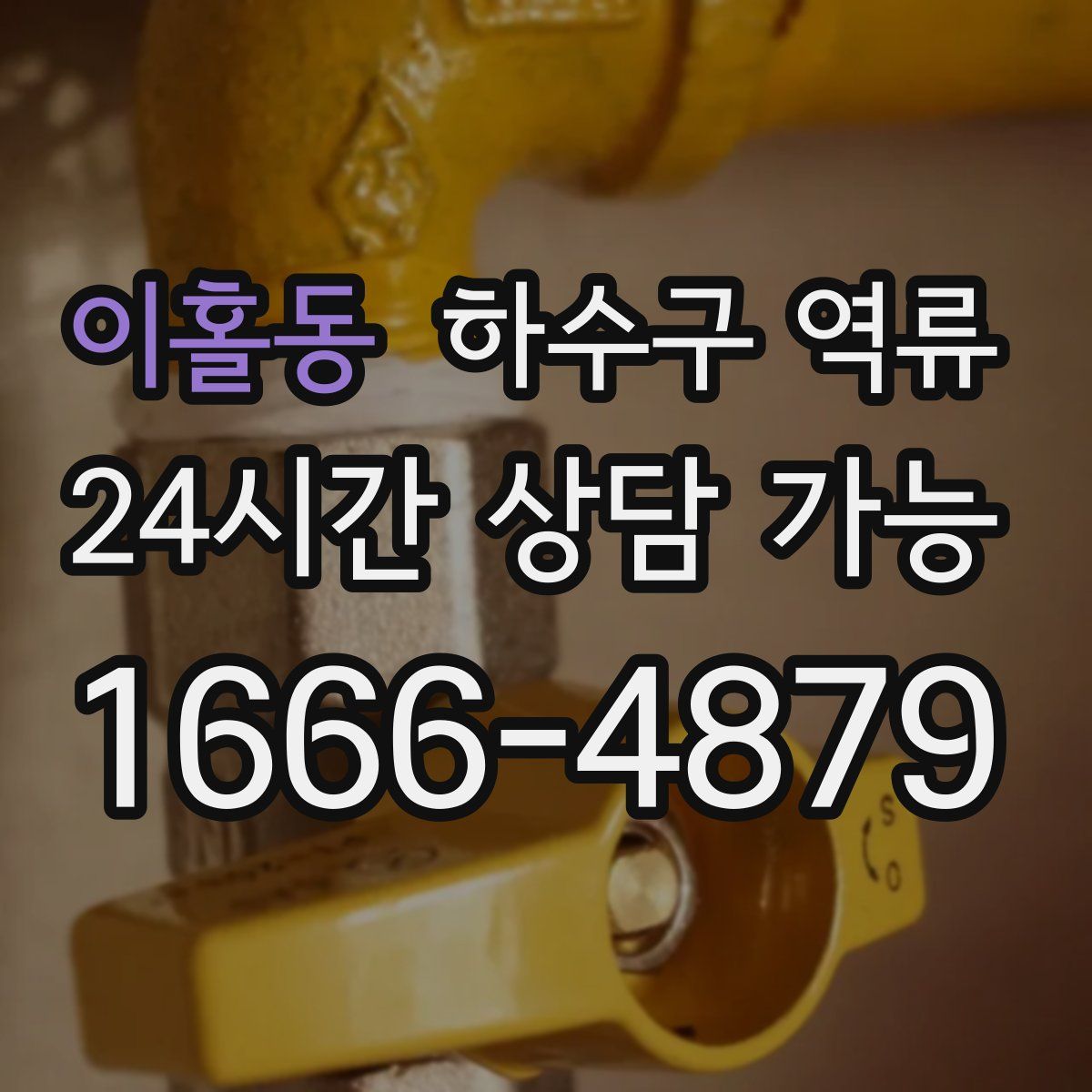 이홀동 하수구 역류