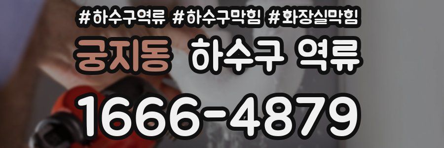 궁지동 하수구 역류