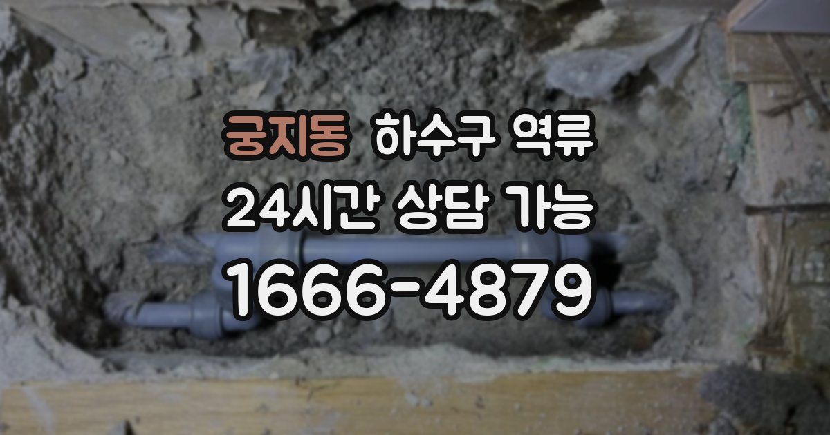 궁지동 하수구 역류