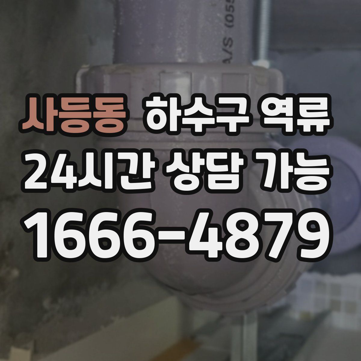 사등동 하수구 역류