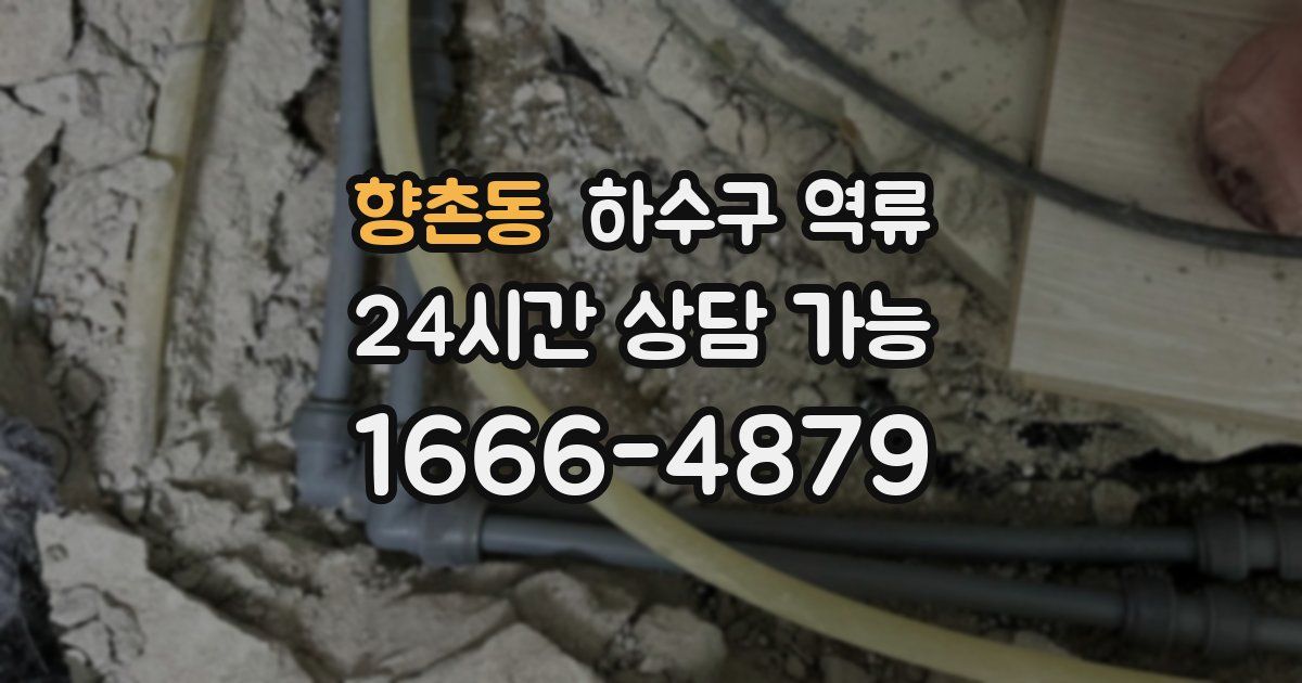 향촌동 하수구 역류