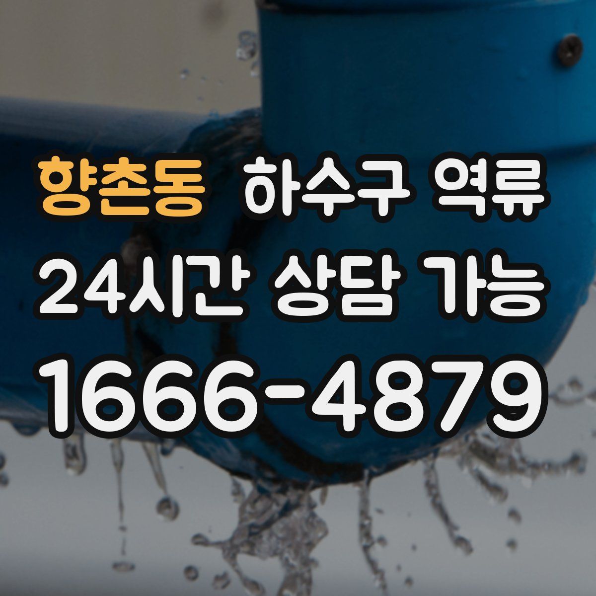 향촌동 하수구 역류