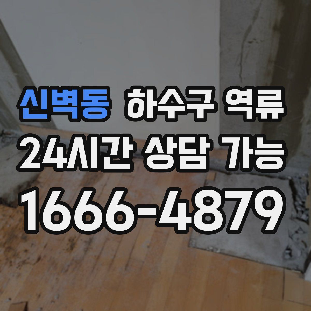 신벽동 하수구 역류