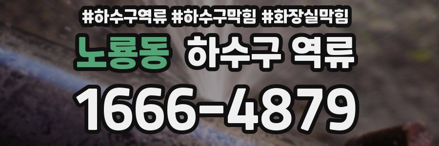 노룡동 하수구 역류