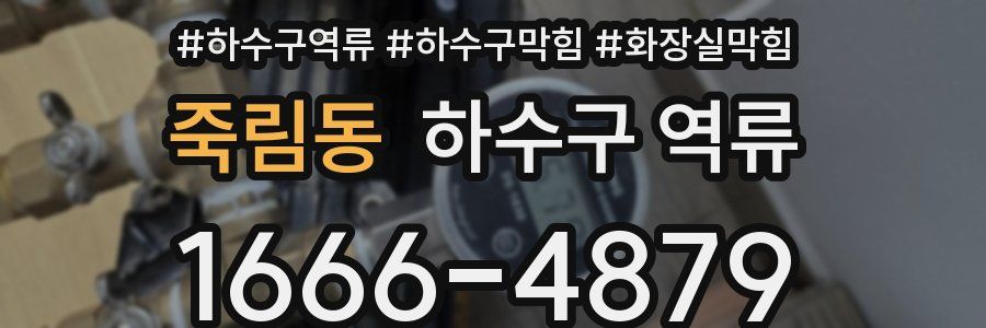 죽림동 하수구 역류