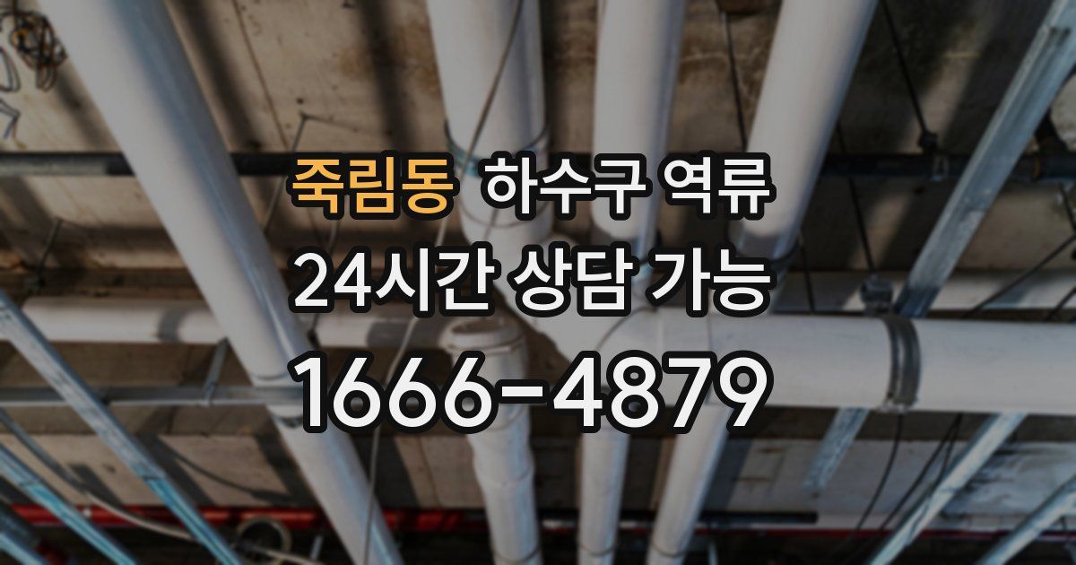 죽림동 하수구 역류