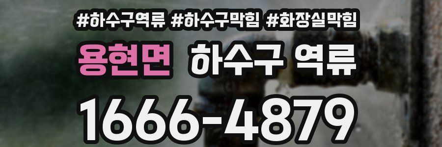 용현면 하수구 역류