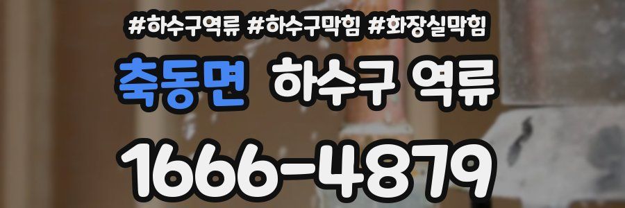 축동면 하수구 역류