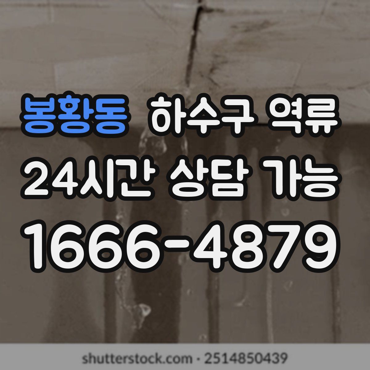 봉황동 하수구 역류