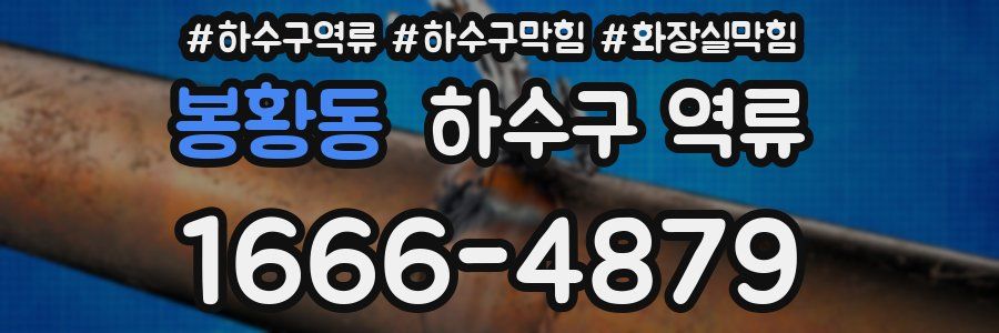 봉황동 하수구 역류