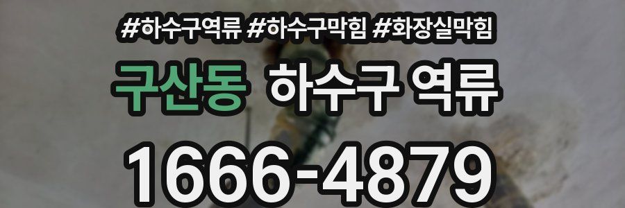 구산동 하수구 역류