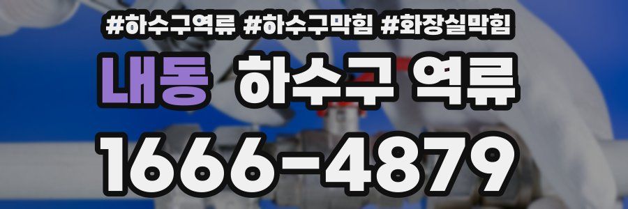 내동 하수구 역류