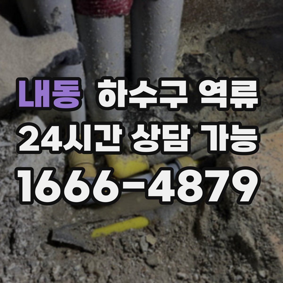 내동 하수구 역류