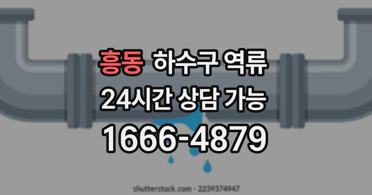 흥동 하수구 역류