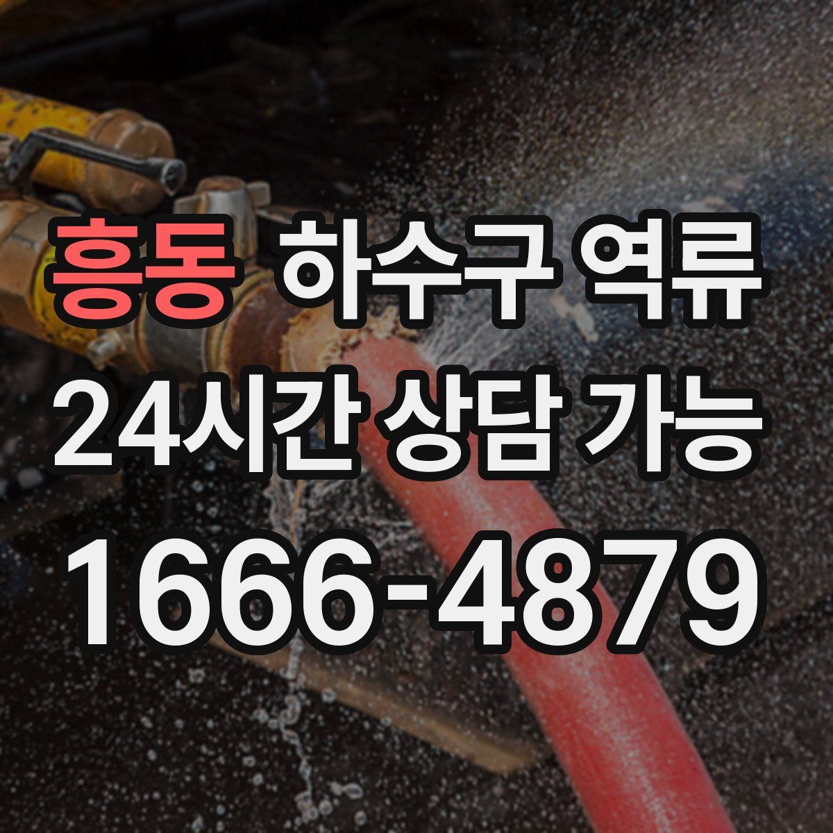 흥동 하수구 역류