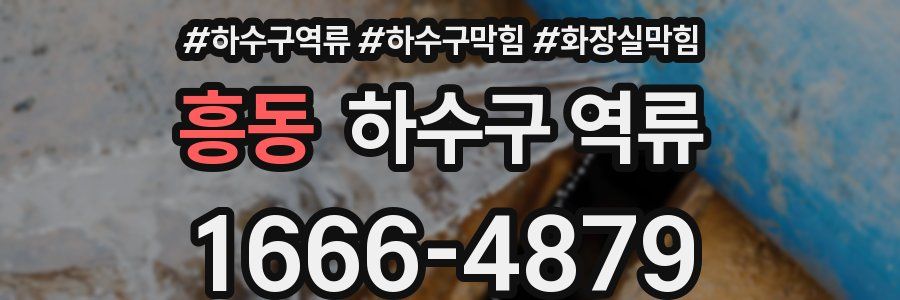 흥동 하수구 역류