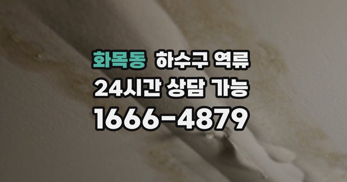 화목동 하수구 역류