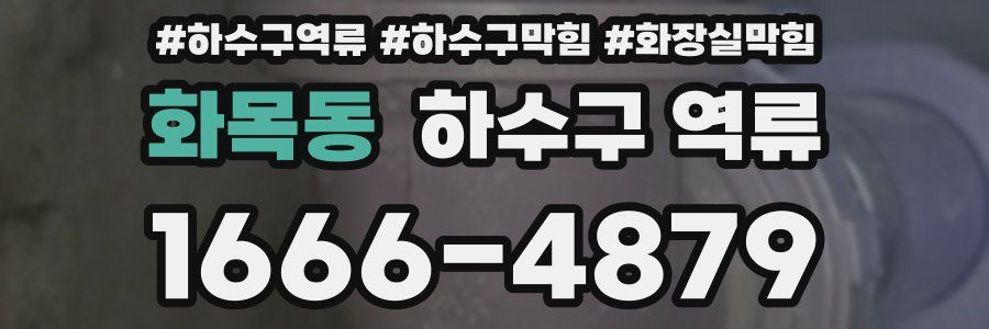 화목동 하수구 역류