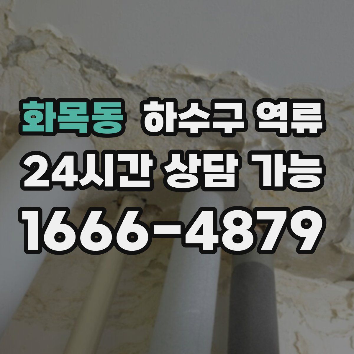 화목동 하수구 역류