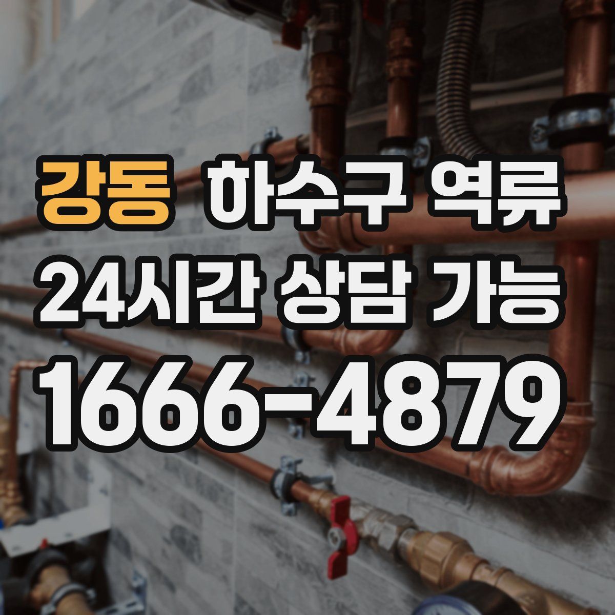 강동 하수구 역류