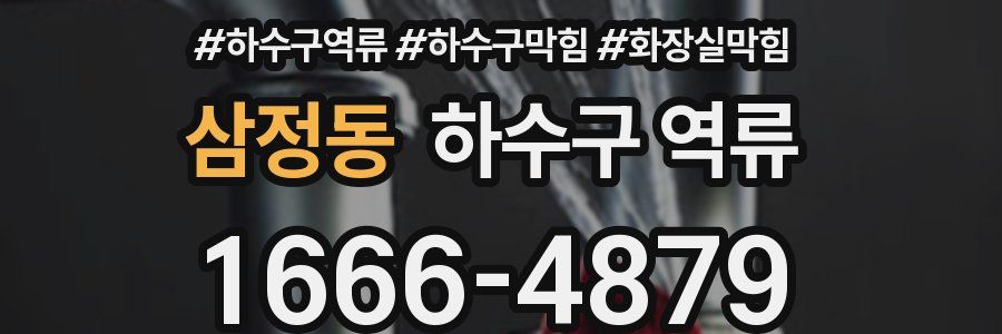 삼정동 하수구 역류