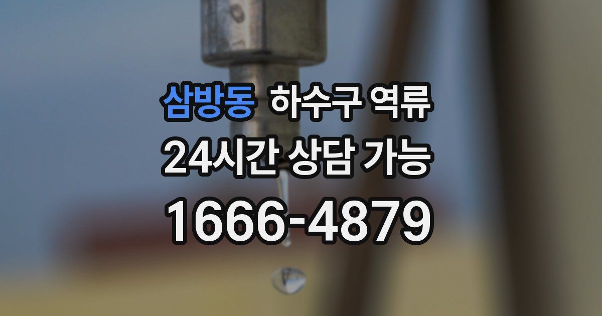 삼방동 하수구 역류