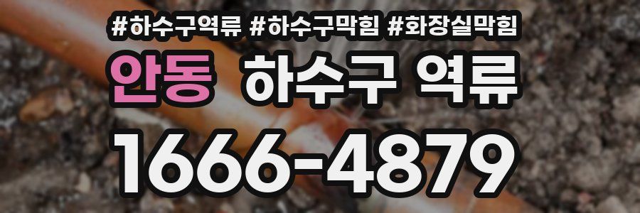 안동 하수구 역류
