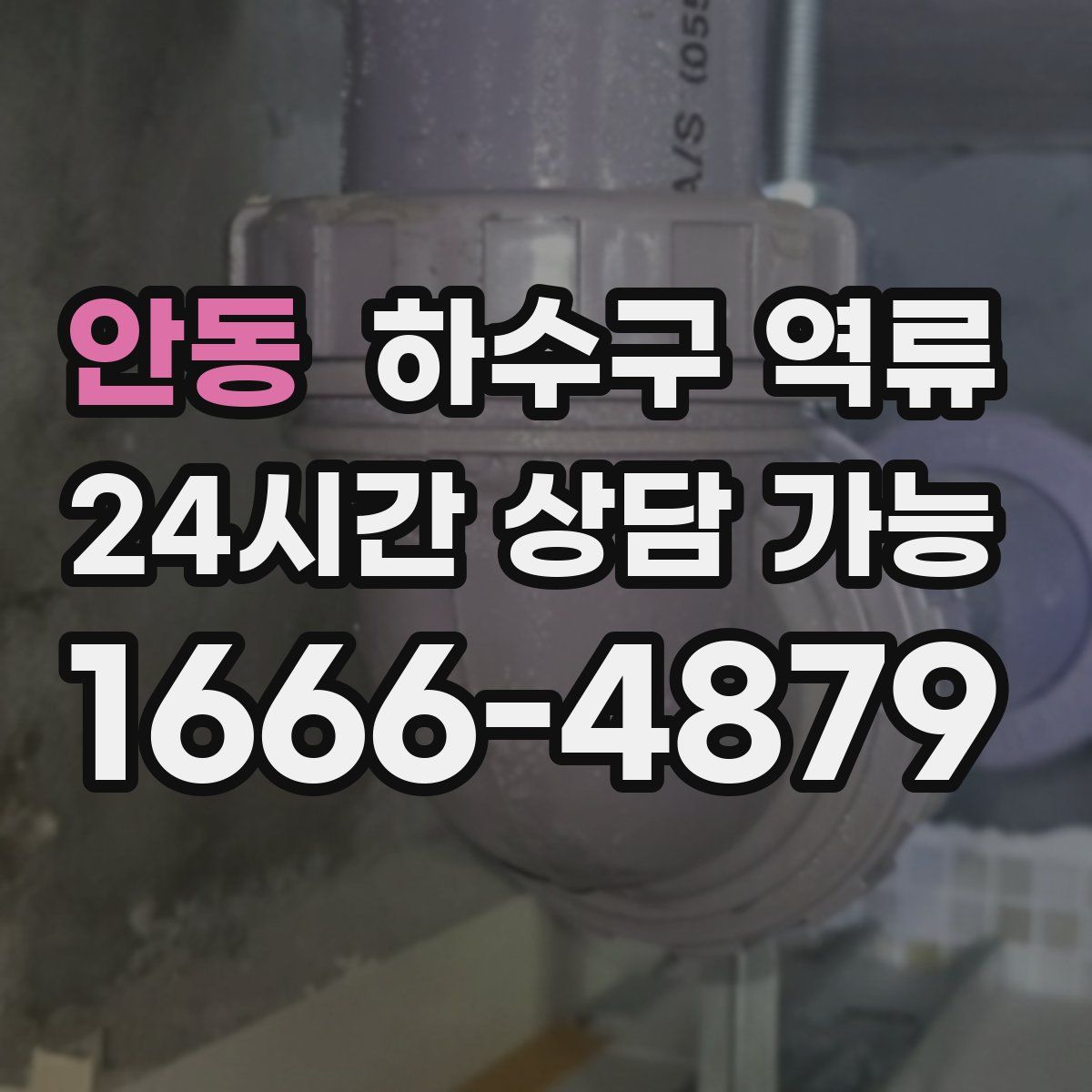 안동 하수구 역류