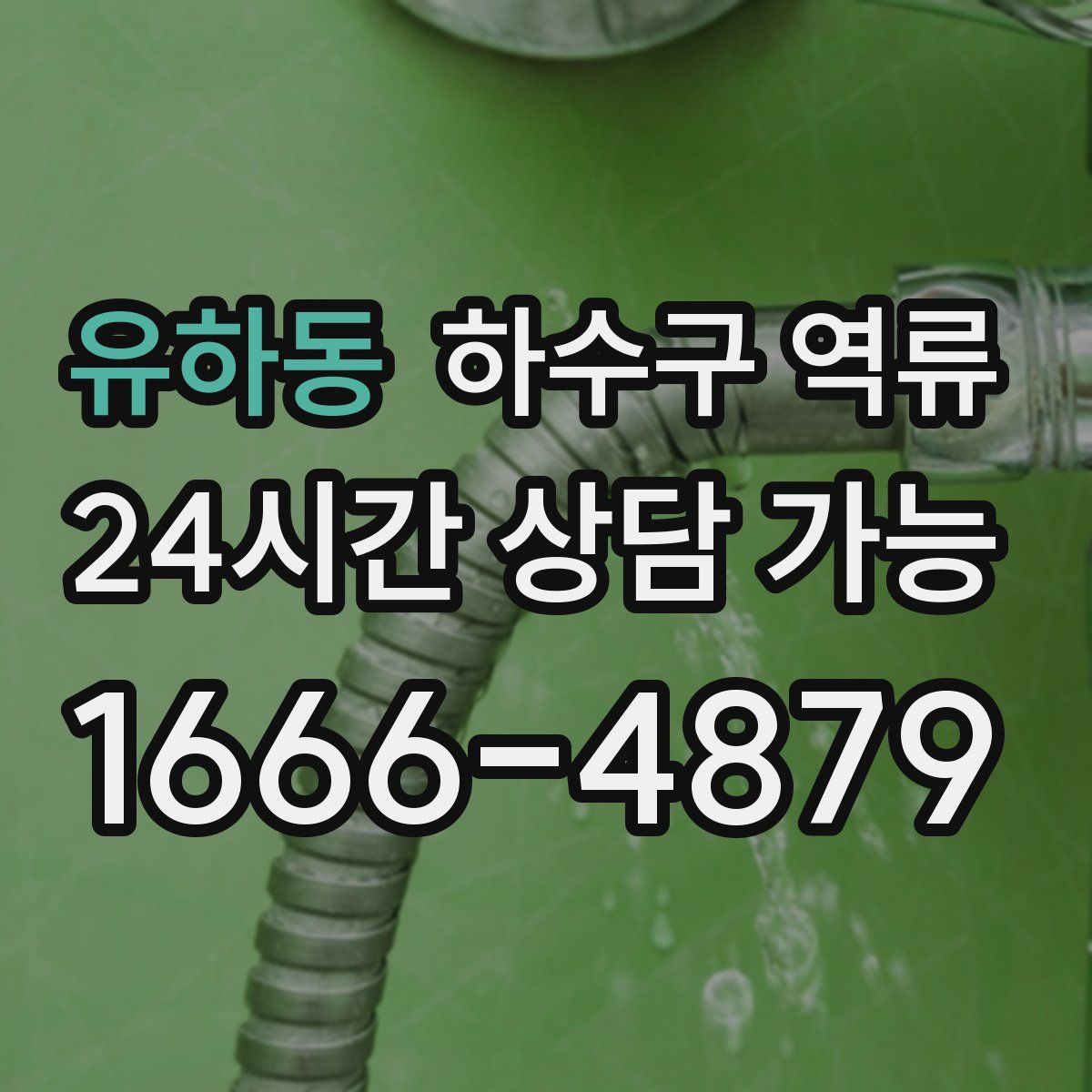 유하동 하수구 역류