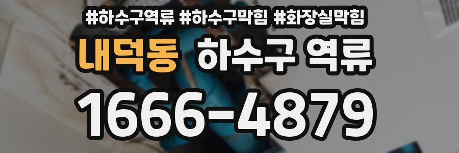 내덕동 하수구 역류